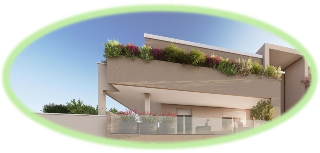 immagine annuncio 3 di 8