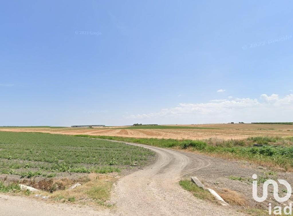 immagine annuncio 4 di 7