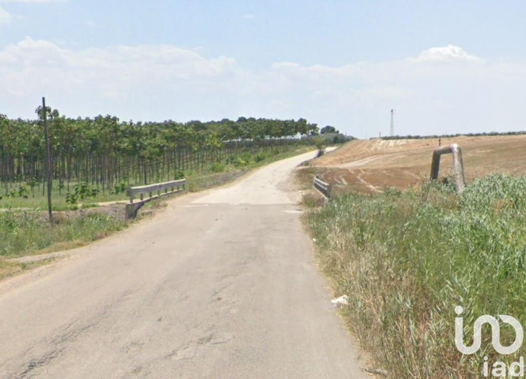 immagine annuncio 6 di 7