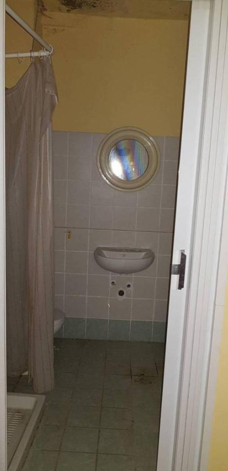 immagine annuncio 4 di 7