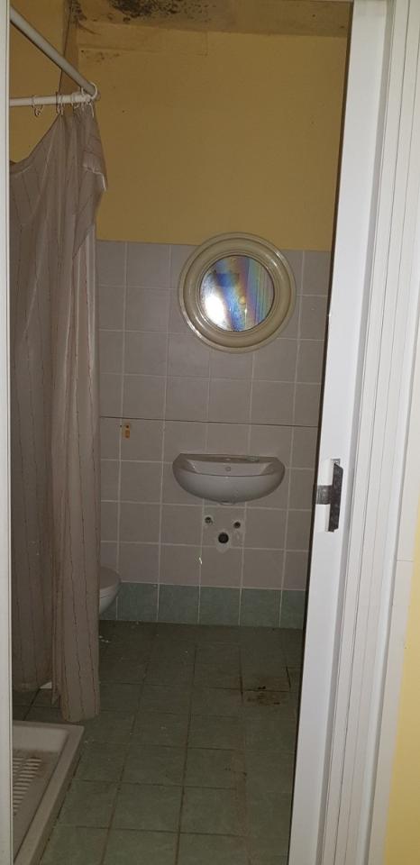 immagine annuncio 2 di 7