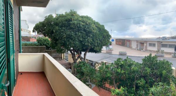 immagine annuncio 2 di 8