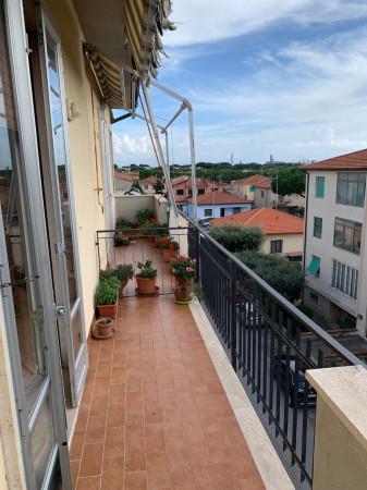 immagine annuncio 6 di 8