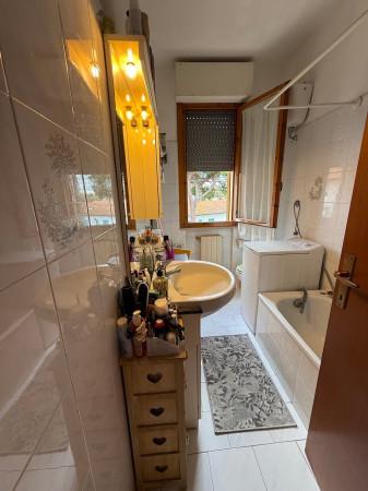 immagine annuncio 5 di 8