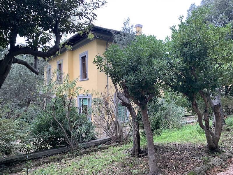 immagine annuncio 2 di 7