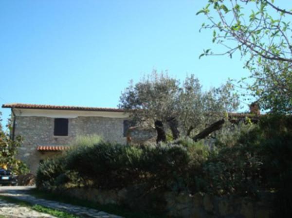 immagine annuncio 6 di 8