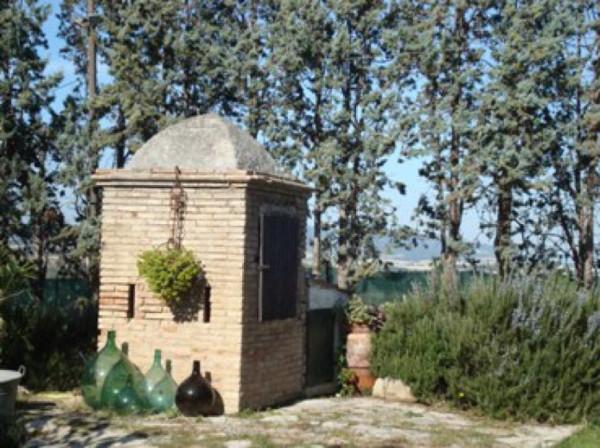 immagine annuncio 12 di 14