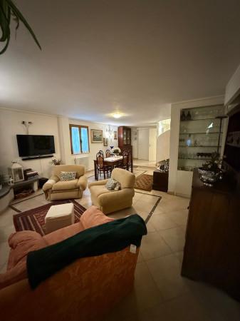 immagine annuncio 9 di 14