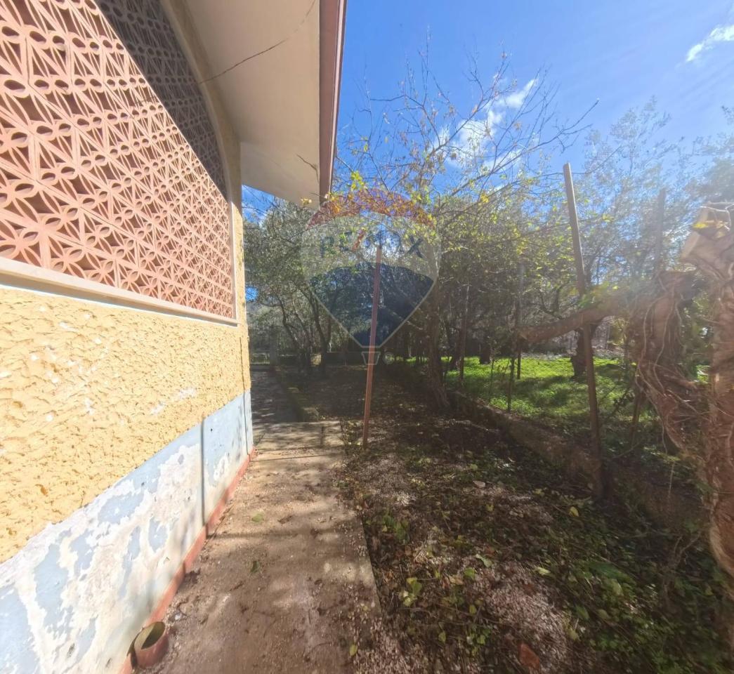 immagine annuncio 11 di 13