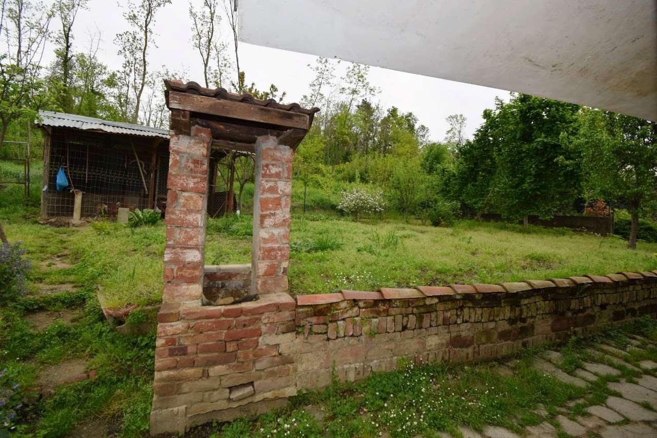 immagine annuncio 11 di 15
