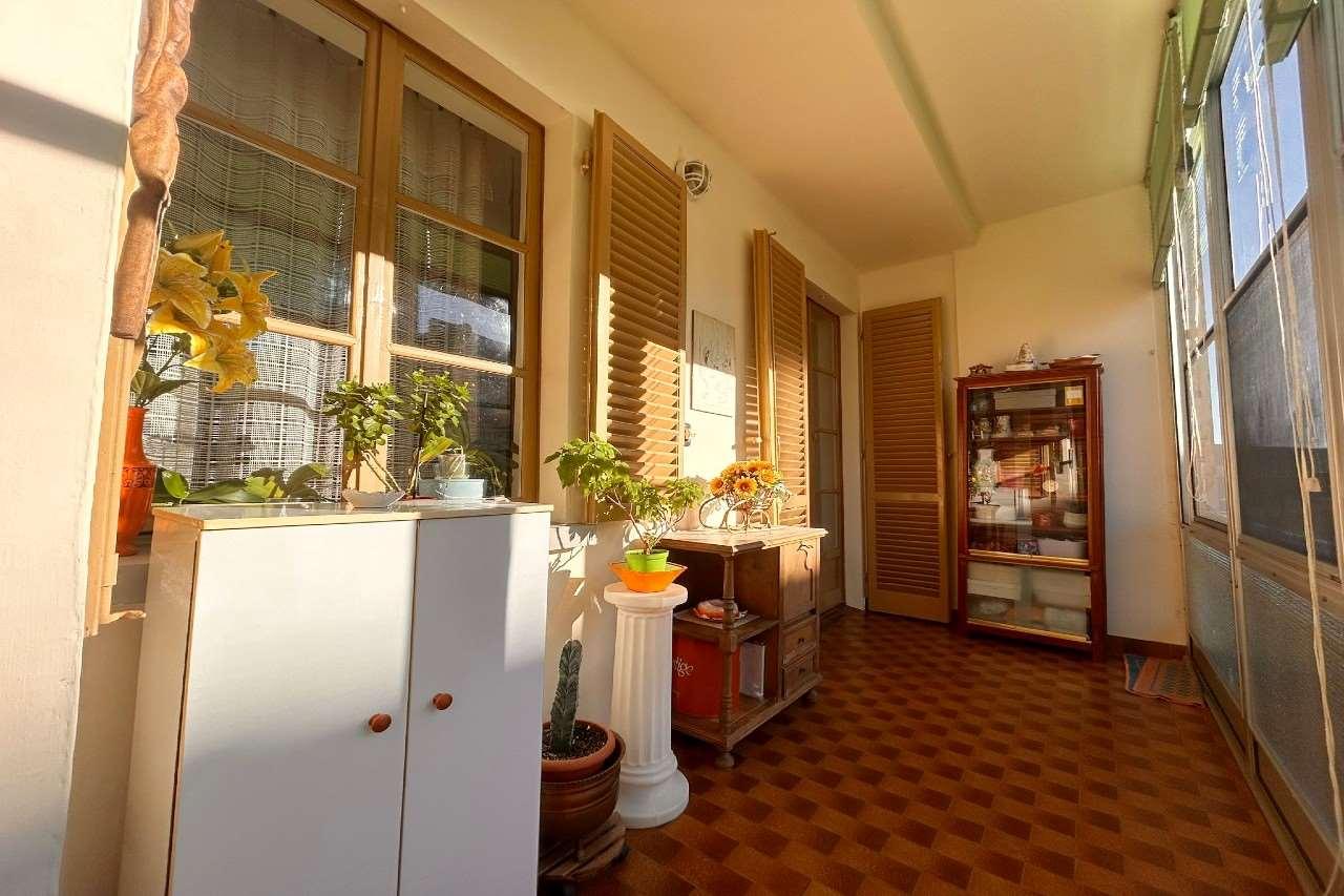 immagine annuncio 3 di 13