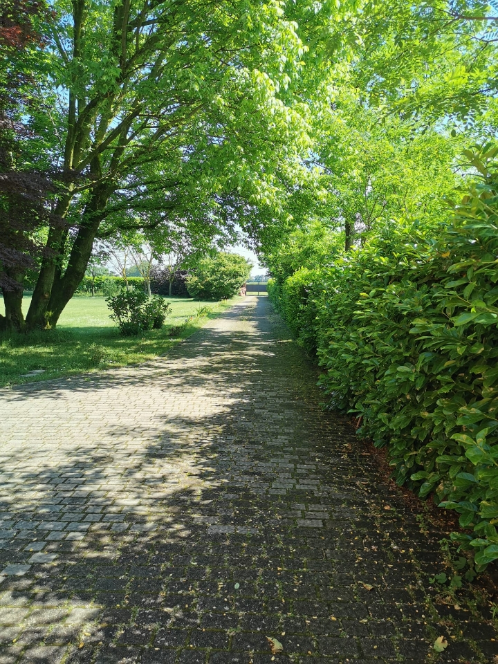 Villa unifamiliare in vendita a Vigevano