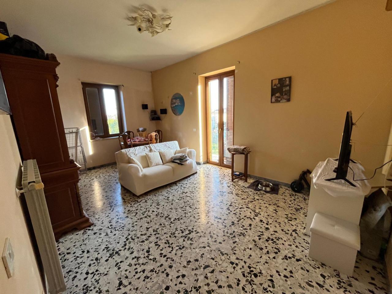 immagine annuncio 4 di 14