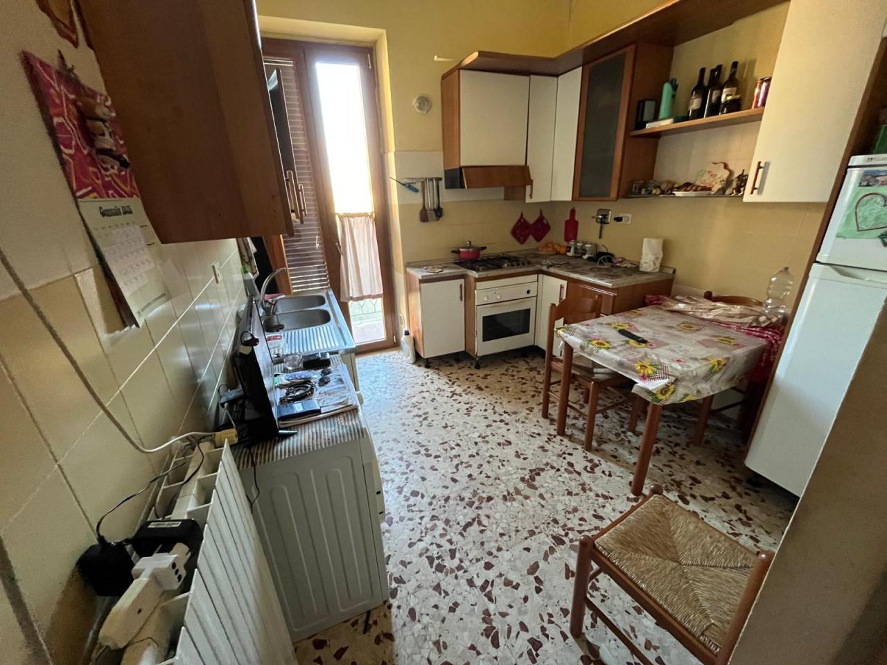 immagine annuncio 5 di 14