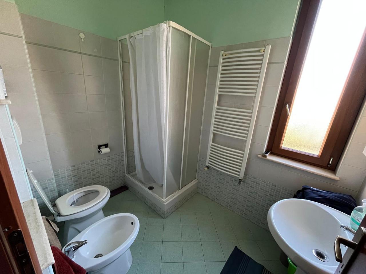 immagine annuncio 9 di 14
