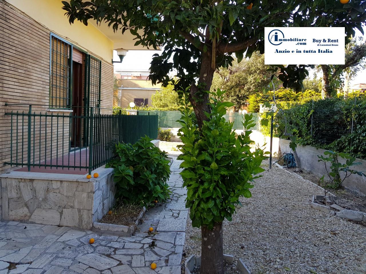 immagine annuncio 1 di 14
