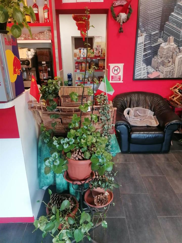 Pasticceria in , Milano, {3} - Foto 1