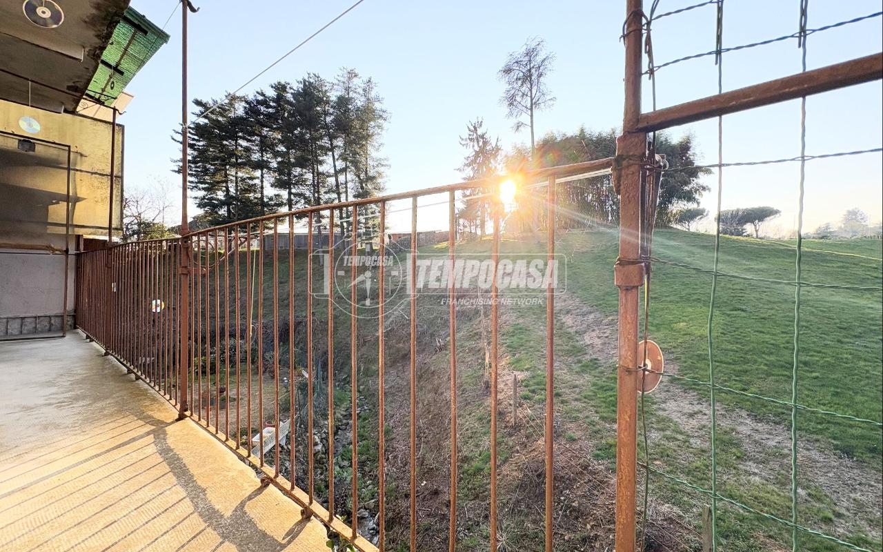 immagine annuncio 10 di 14