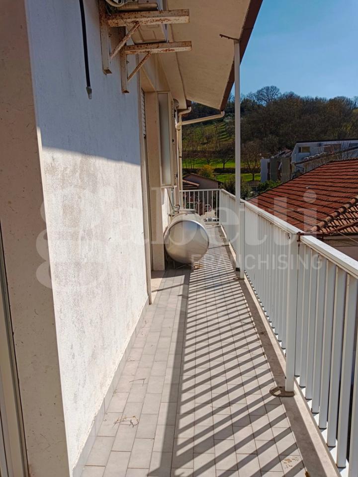 immagine annuncio 11 di 14