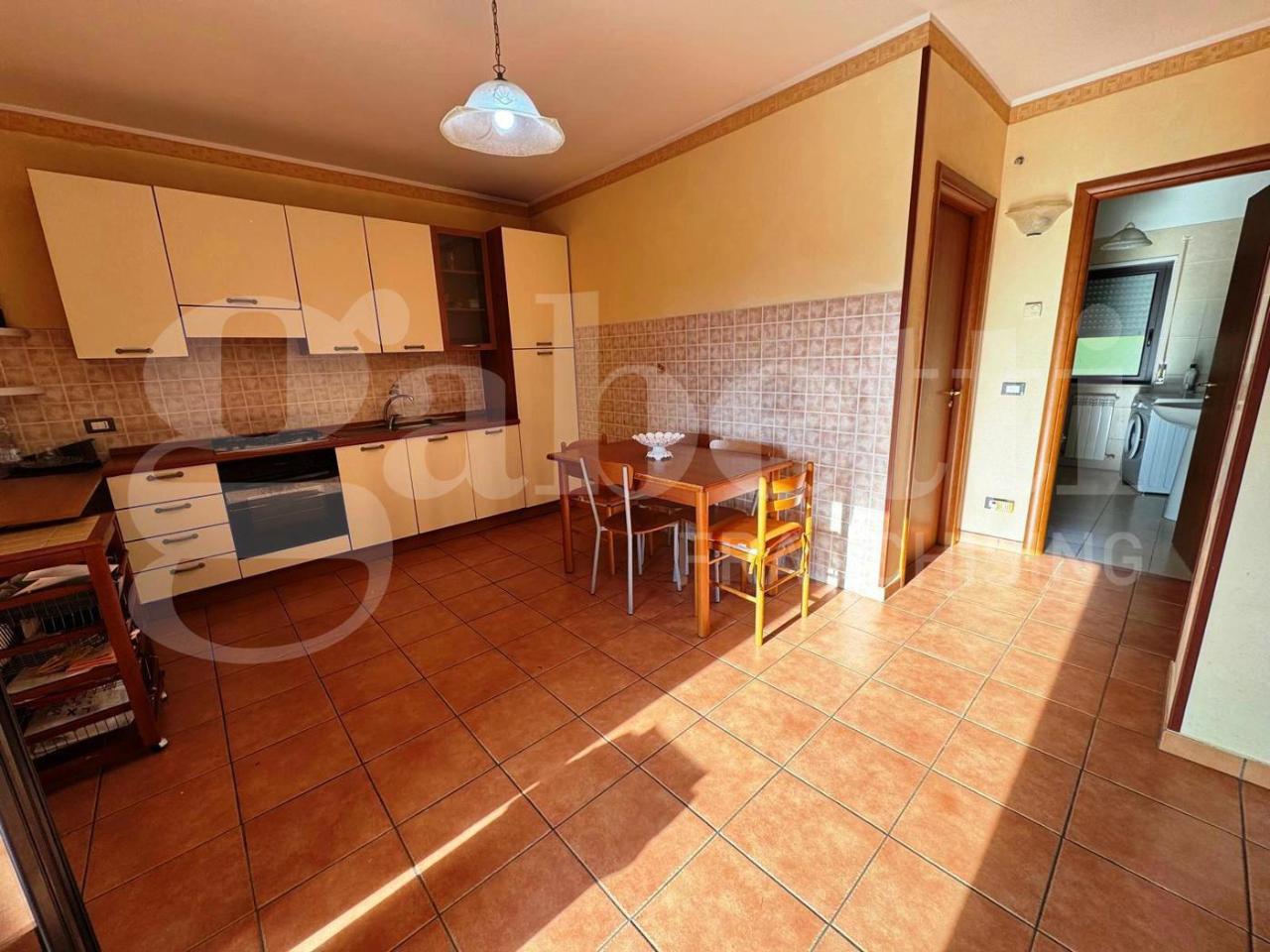 immagine annuncio 1 di 14