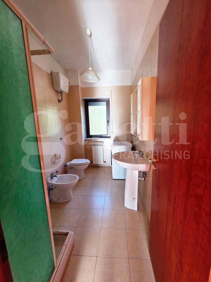 immagine annuncio 12 di 14