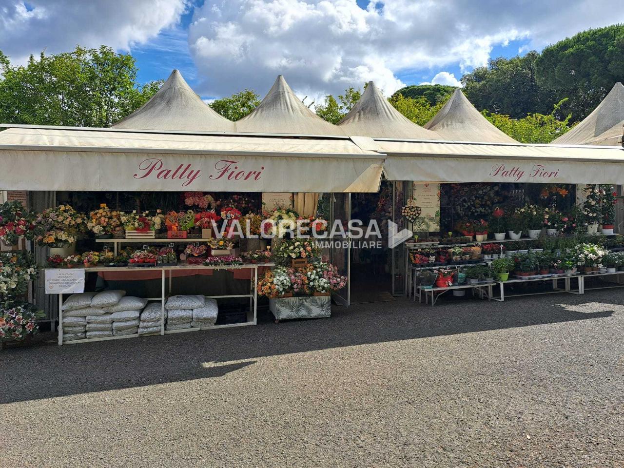 Piante e fiori in , Carrara, {3} - Foto 1