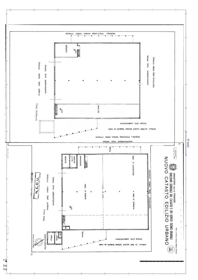 Negozio in Via Tiberina, Roma, {3} - Planimetria 1