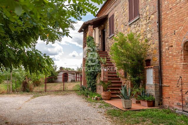 insertion image