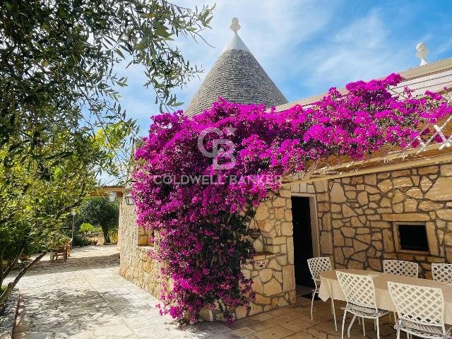 insertion image