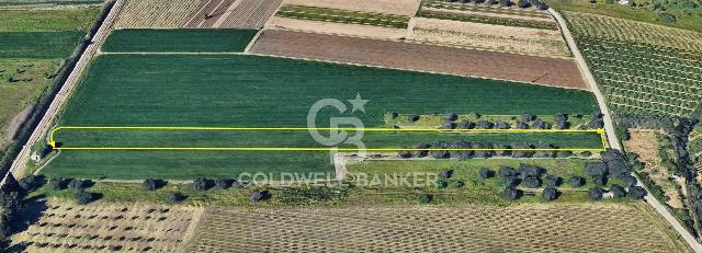insertion image