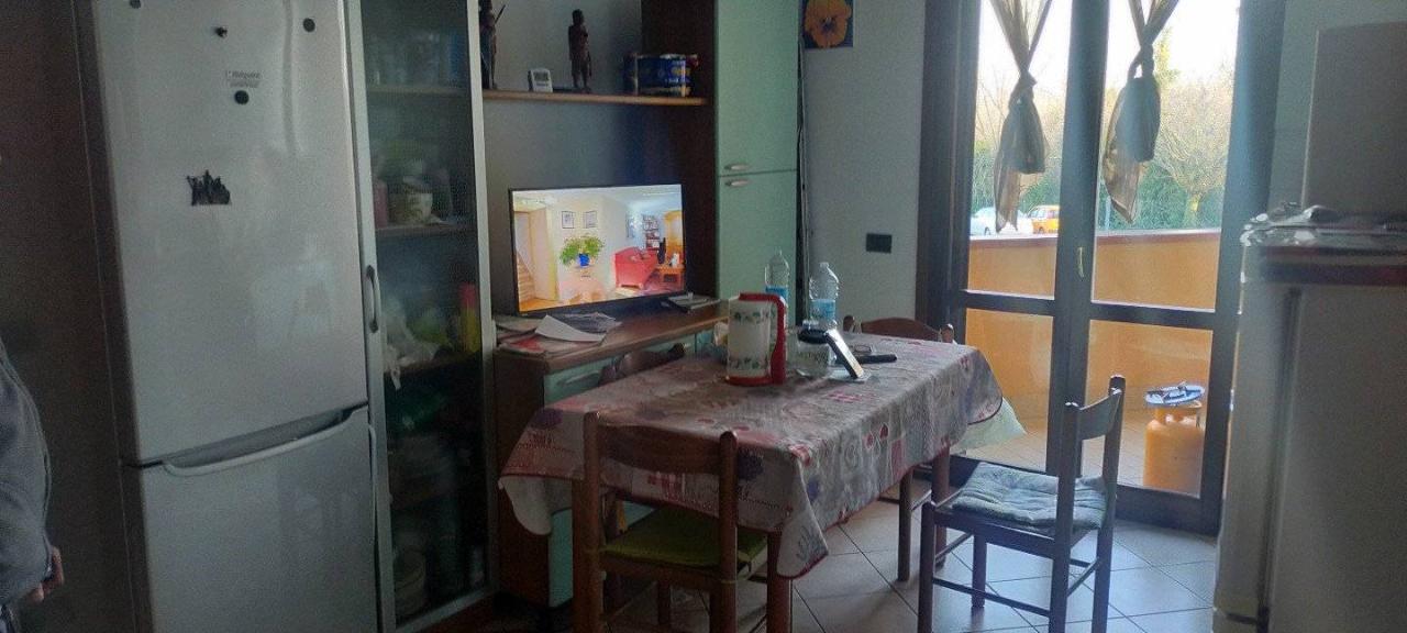 immagine annuncio 3 di 6
