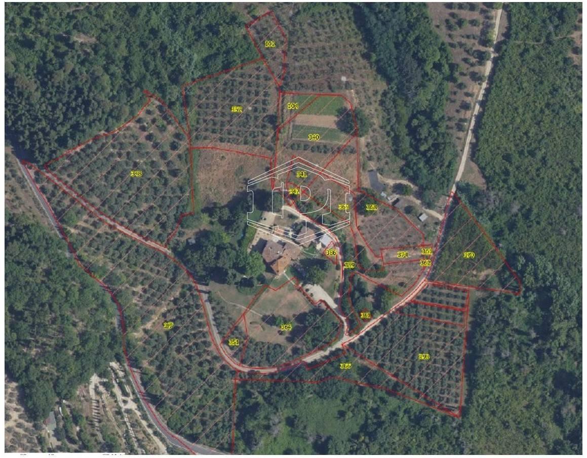 immagine annuncio 5 di 7