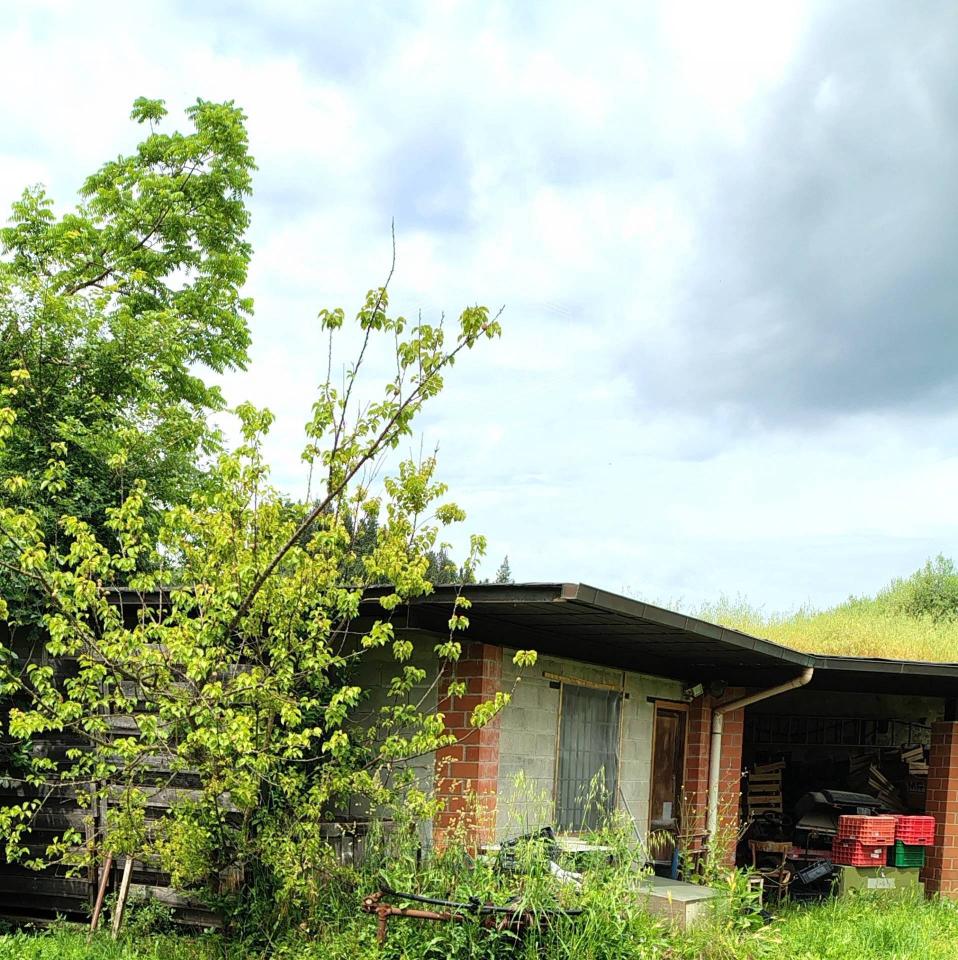 immagine annuncio 2 di 7