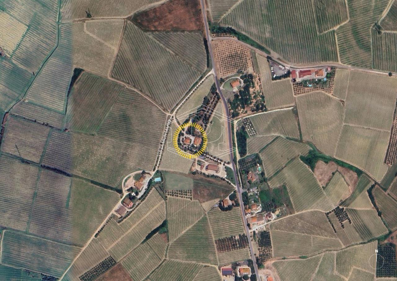 immagine annuncio 11 di 13