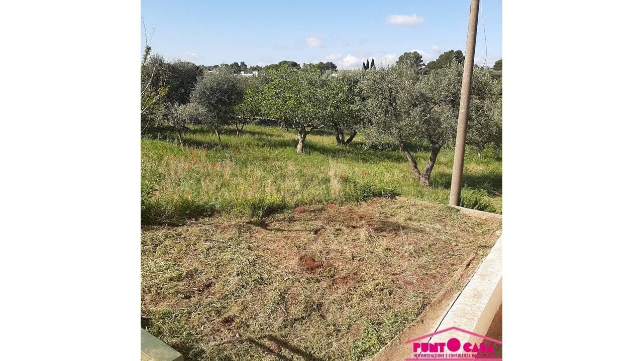 immagine annuncio 10 di 11