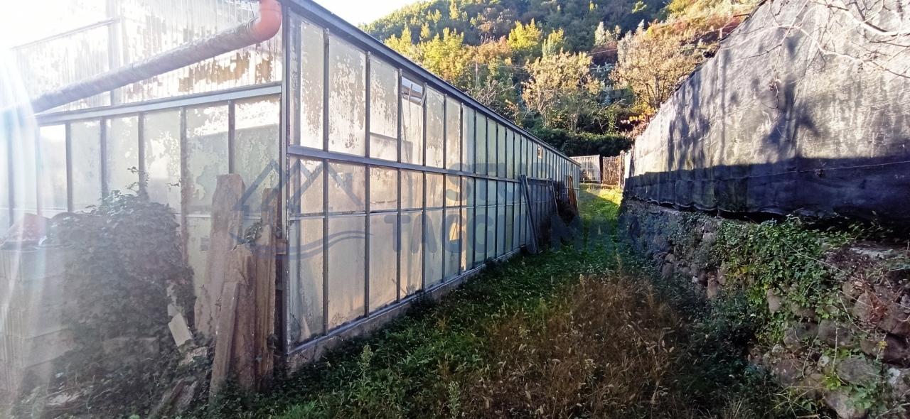 Terreno agricolo in vendita a Taggia