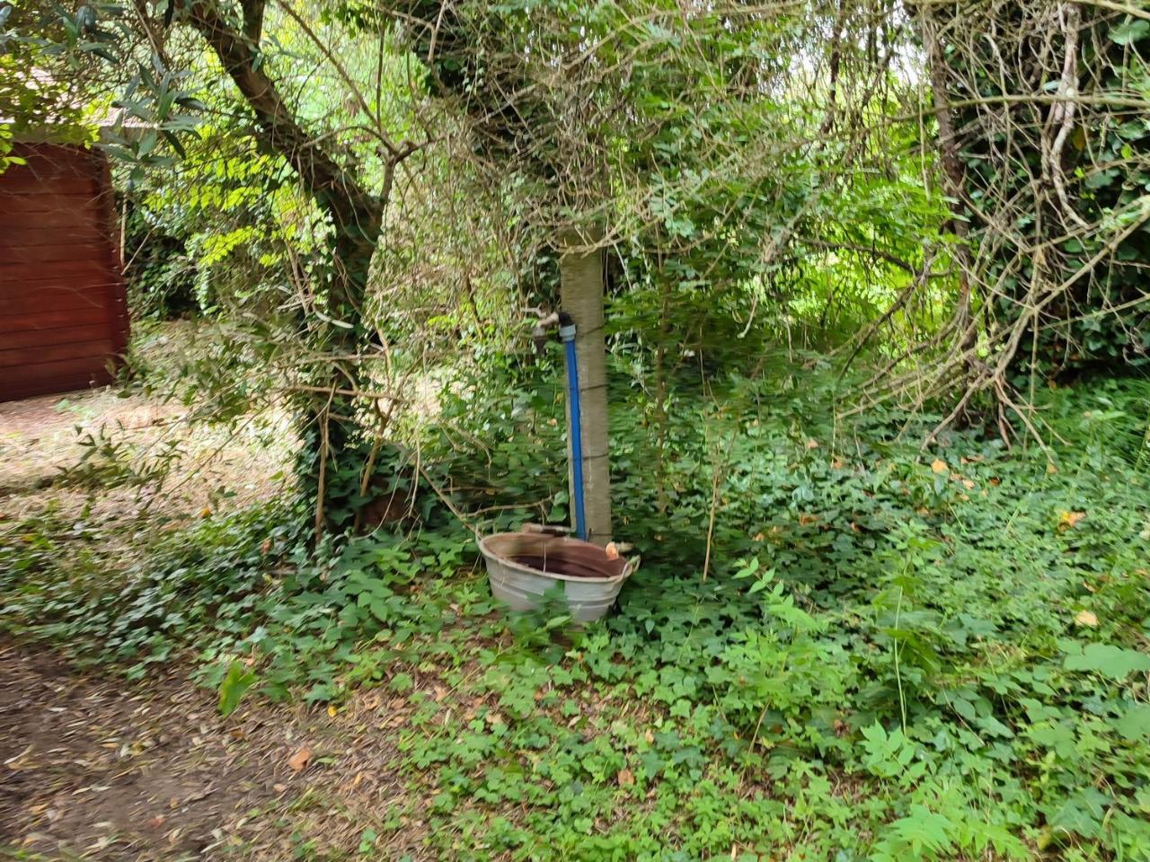 immagine annuncio 6 di 14