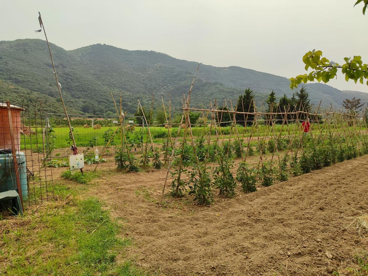 immagine annuncio 2 di 14