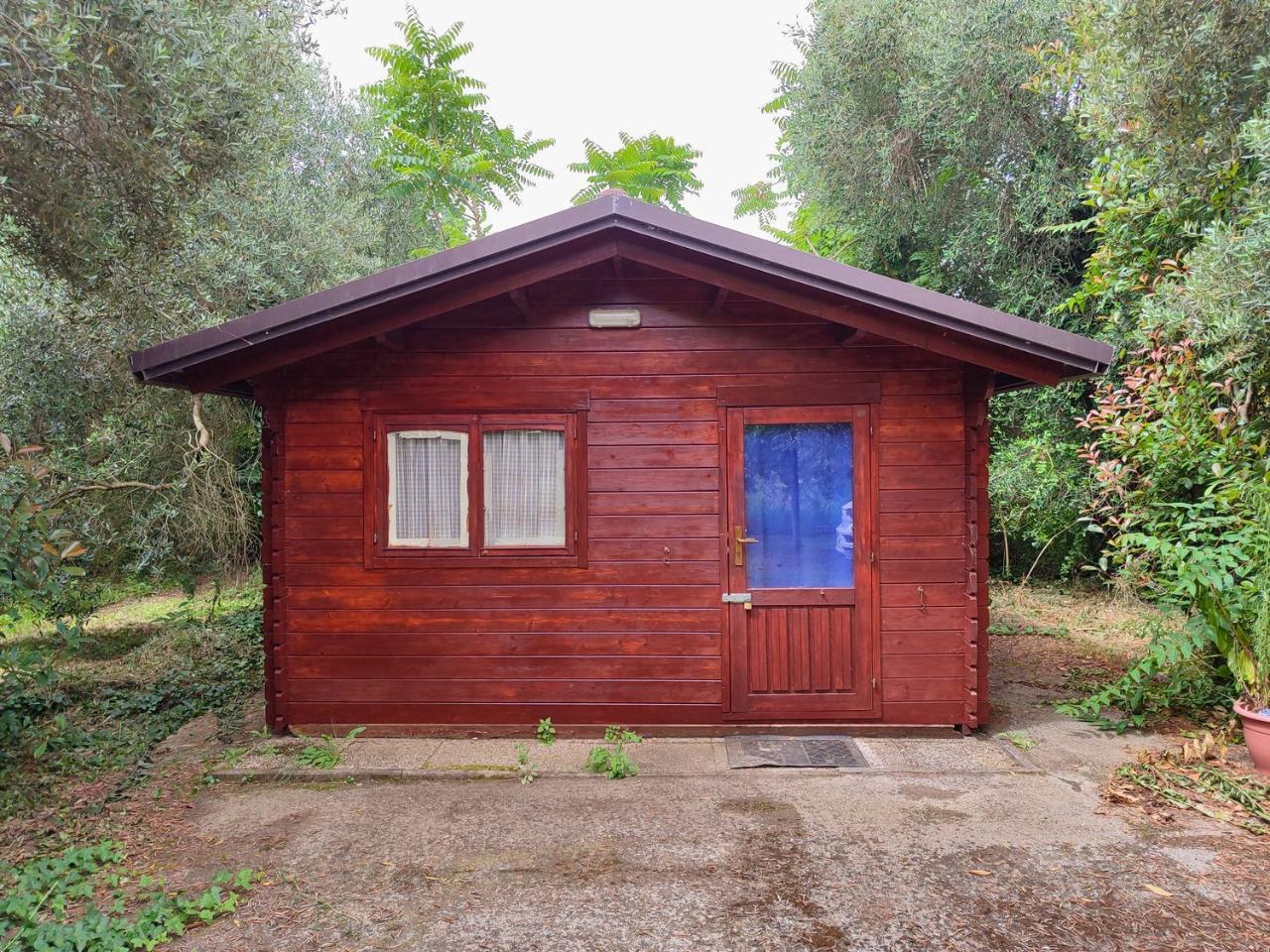 immagine annuncio 4 di 14