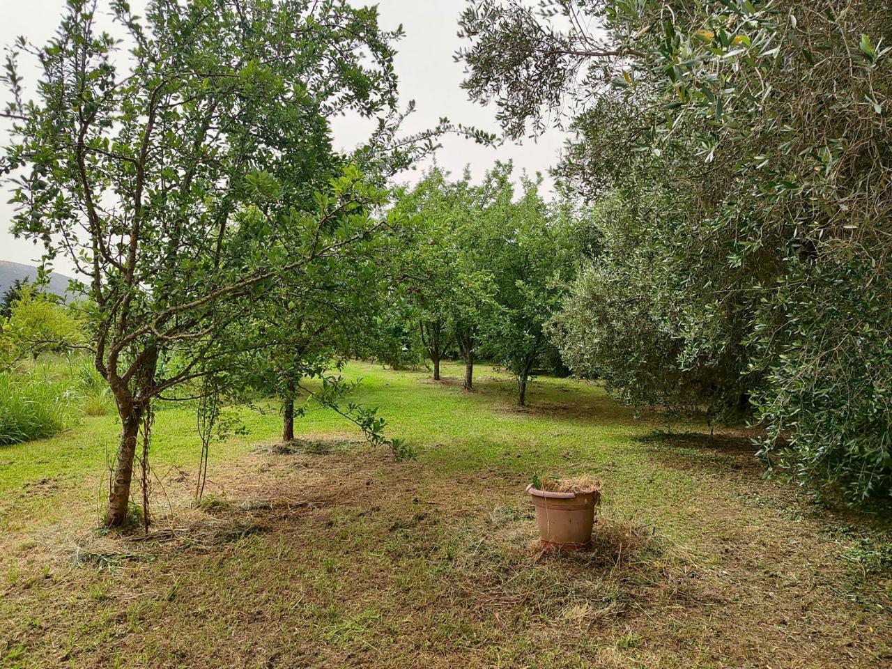 immagine annuncio 9 di 14