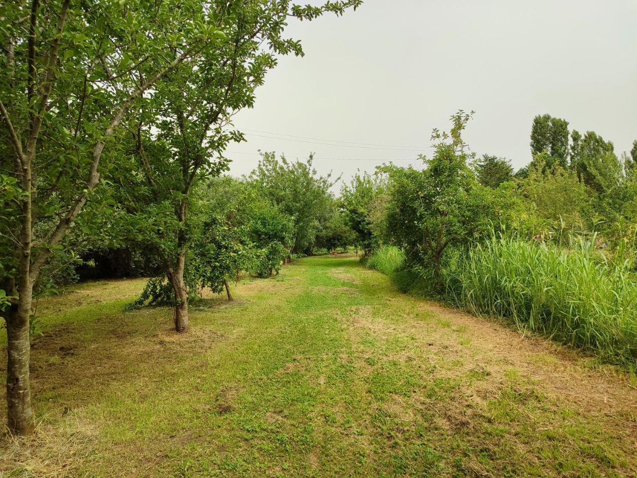 immagine annuncio 7 di 14