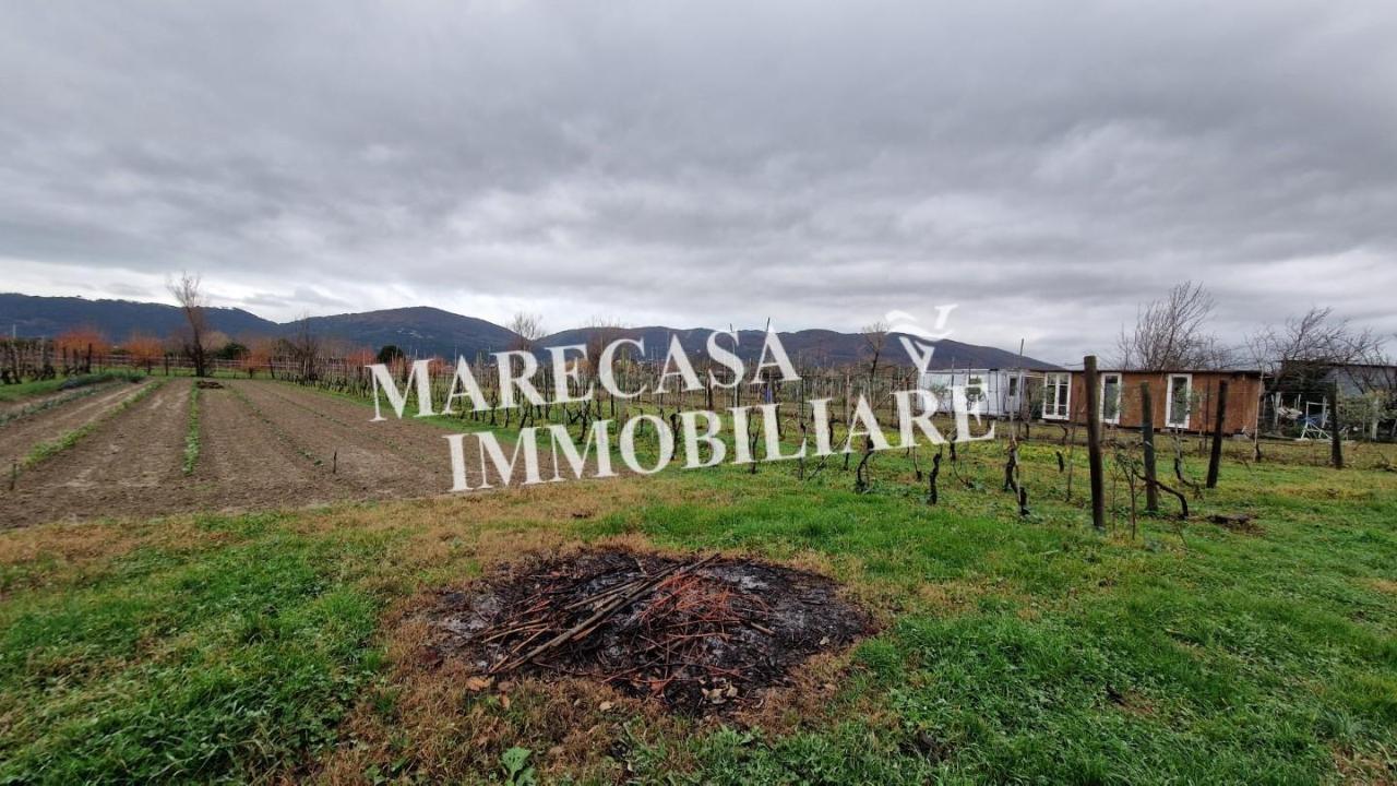 immagine annuncio 5 di 6