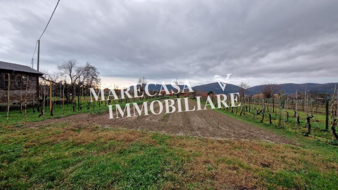 immagine annuncio 2 di 6