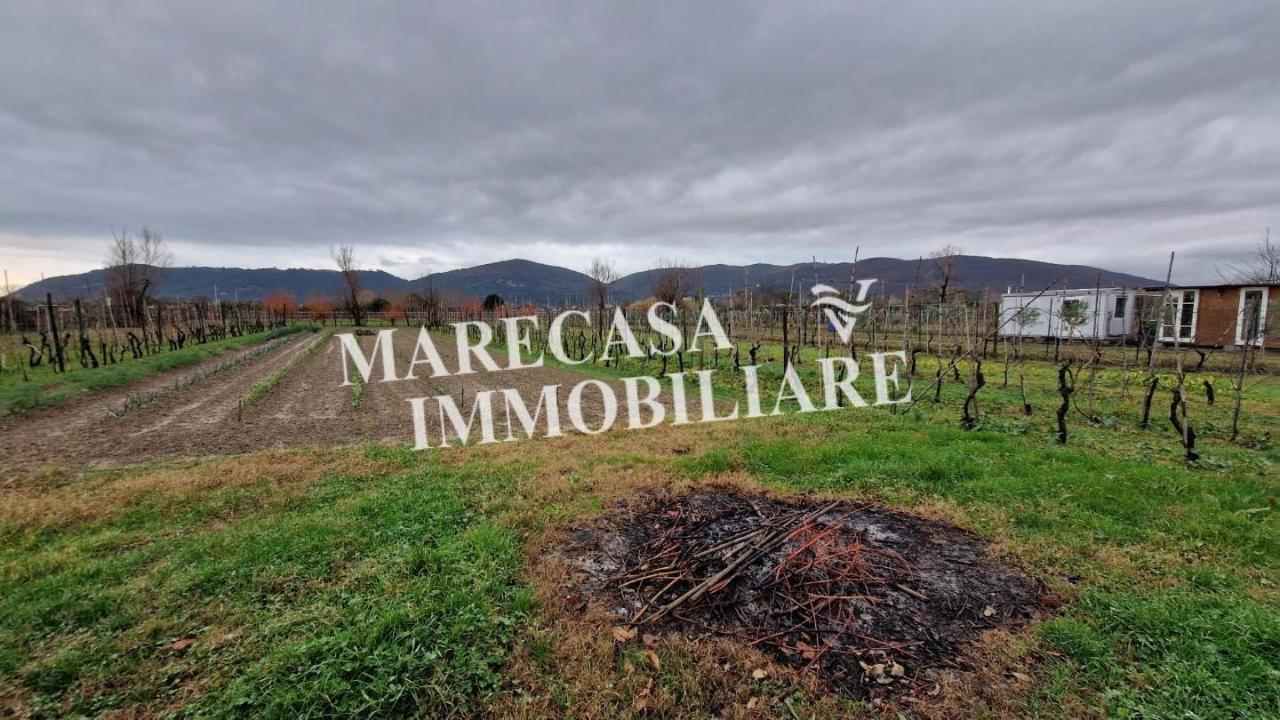 immagine annuncio 4 di 6