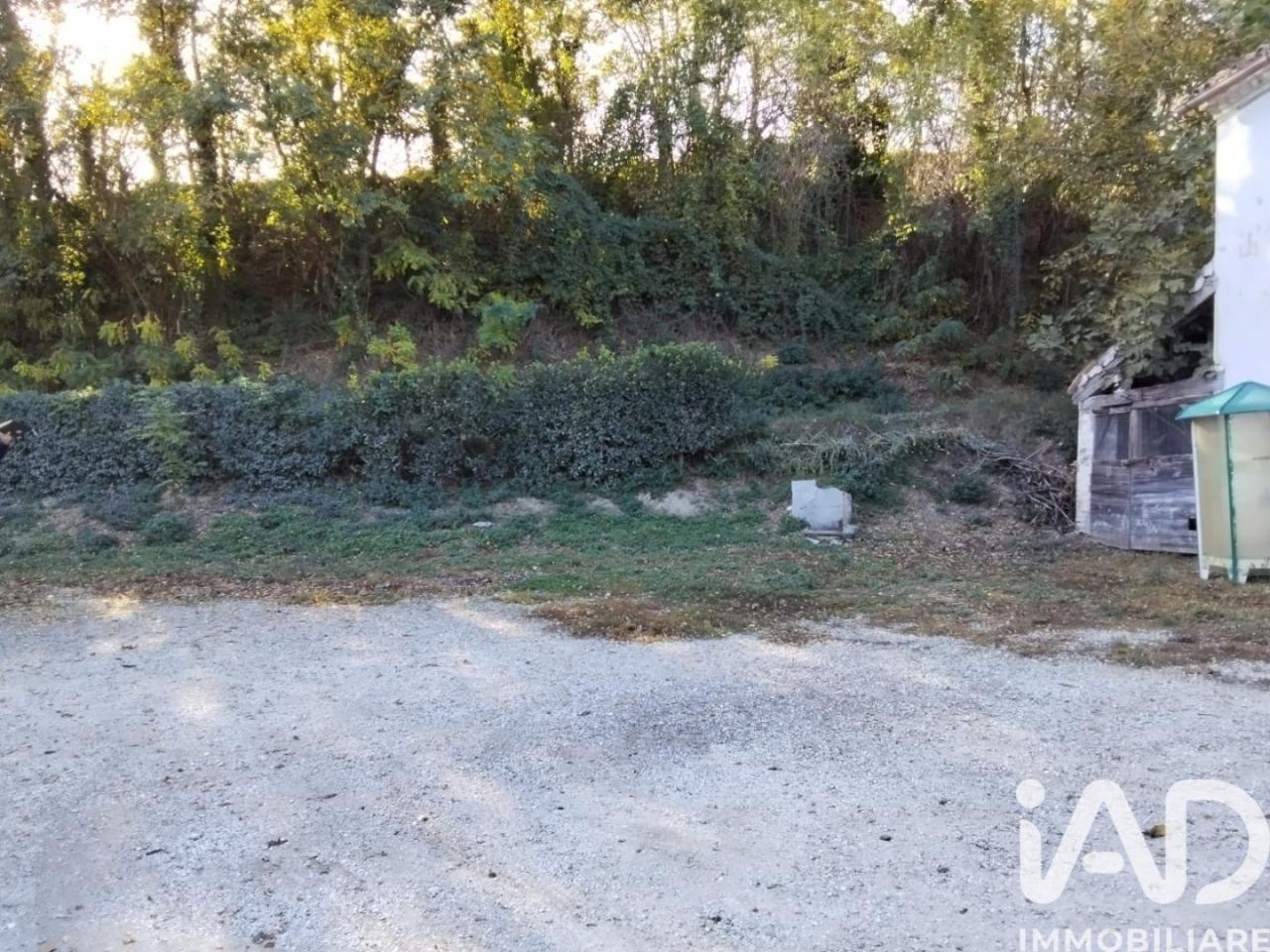 immagine annuncio 6 di 9