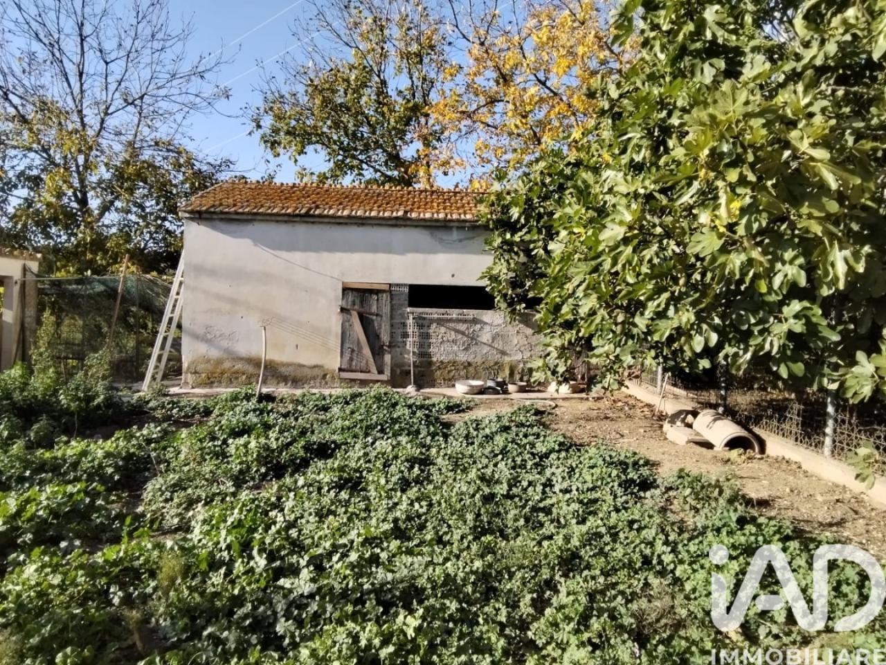 immagine annuncio 8 di 13