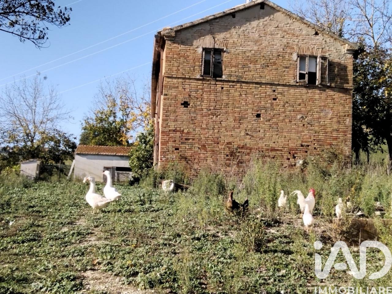 immagine annuncio 7 di 13