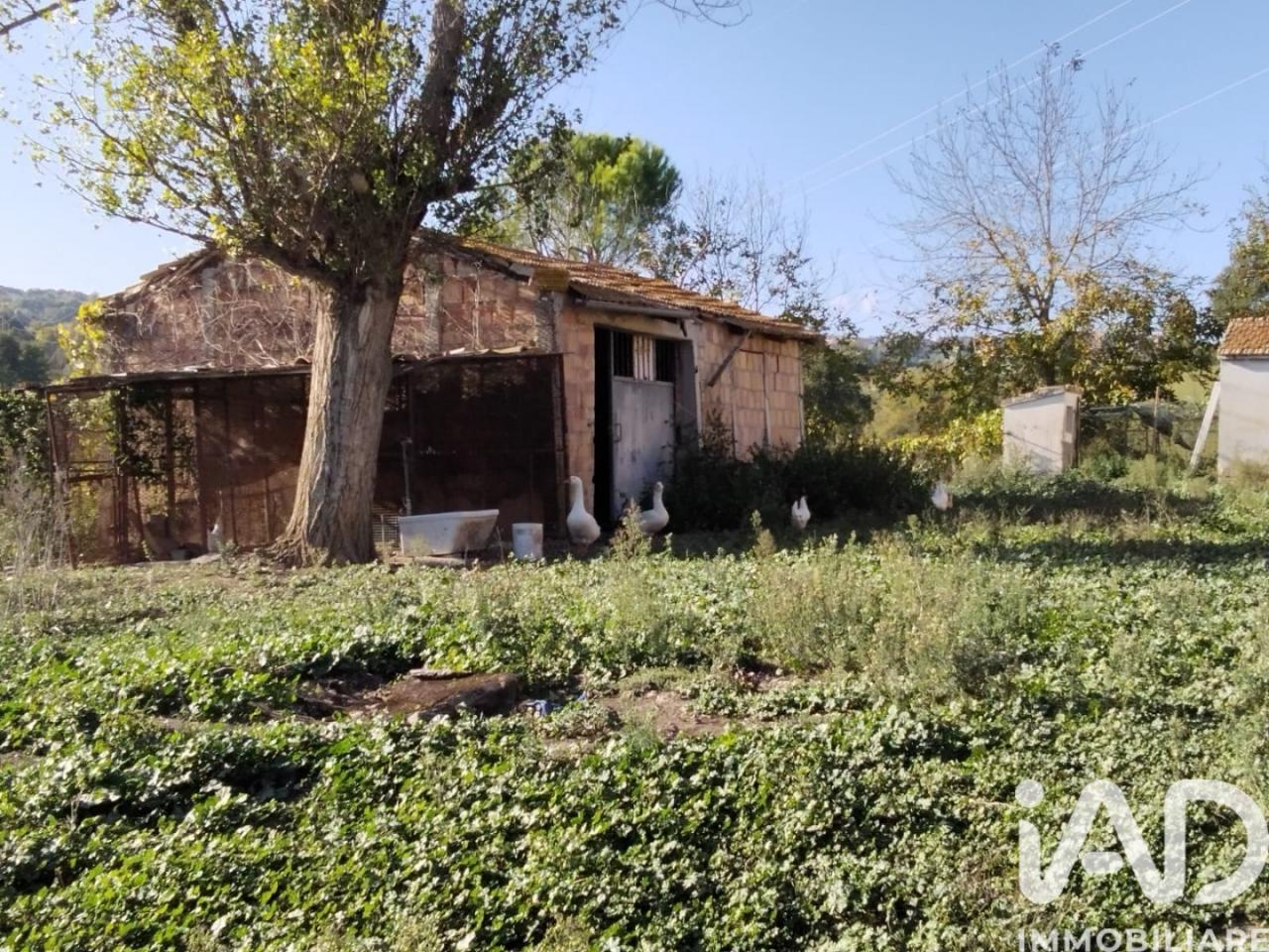 immagine annuncio 11 di 13