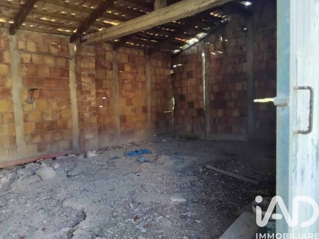 immagine annuncio 12 di 13