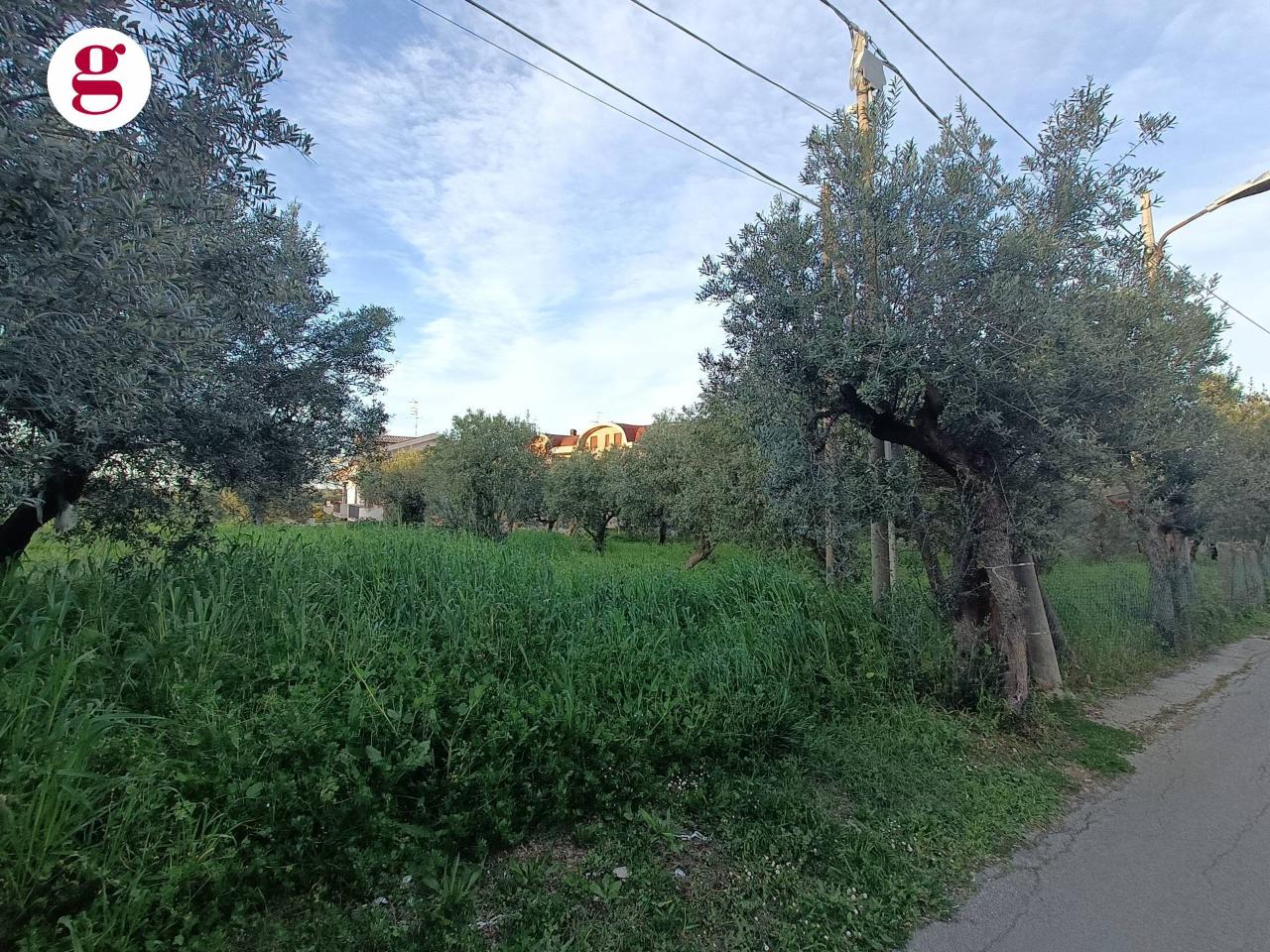 immagine annuncio 1 di 8